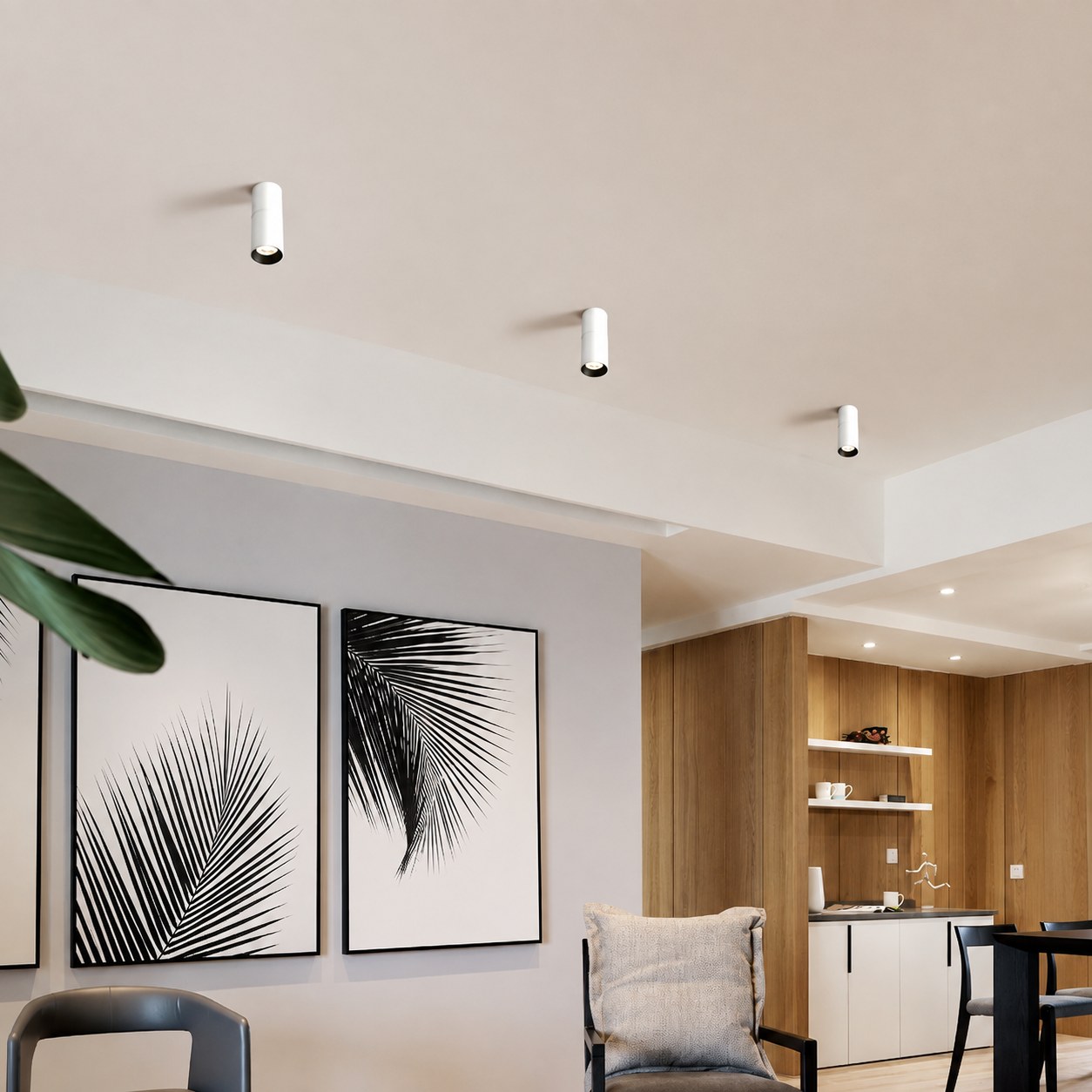 Ceiling Lights